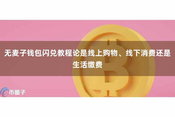 无麦子钱包闪兑教程论是线上购物、线下消费还是生活缴费