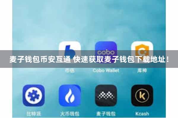 麦子钱包币安互通 快速获取麦子钱包下载地址！
