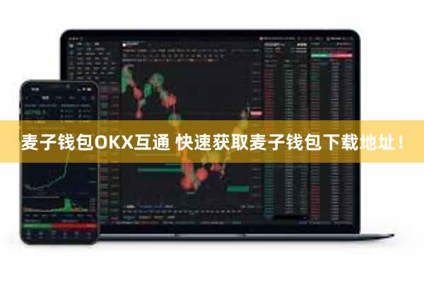 麦子钱包OKX互通 快速获取麦子钱包下载地址！