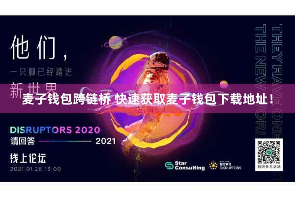 麦子钱包跨链桥 快速获取麦子钱包下载地址！