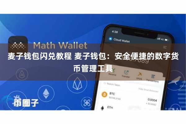 麦子钱包闪兑教程 麦子钱包：安全便捷的数字货币管理工具