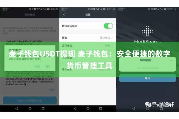 麦子钱包USDT提现 麦子钱包：安全便捷的数字货币管理工具