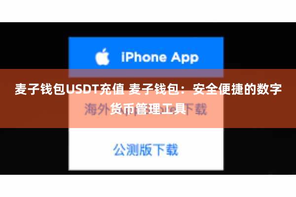 麦子钱包USDT充值 麦子钱包：安全便捷的数字货币管理工具