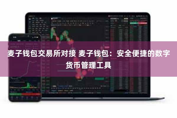 麦子钱包交易所对接 麦子钱包：安全便捷的数字货币管理工具
