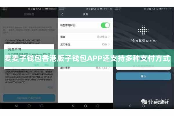 麦麦子钱包香港版子钱包APP还支持多种支付方式