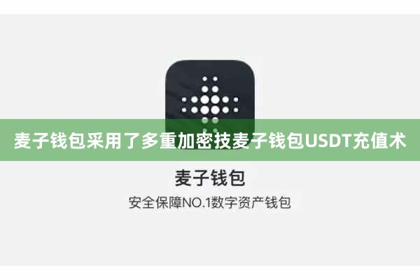 麦子钱包采用了多重加密技麦子钱包USDT充值术