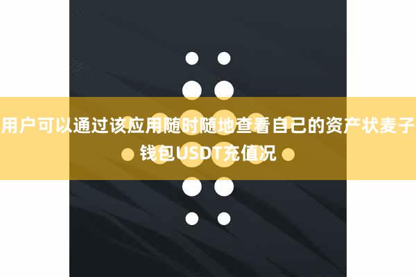 用户可以通过该应用随时随地查看自己的资产状麦子钱包USDT充值况