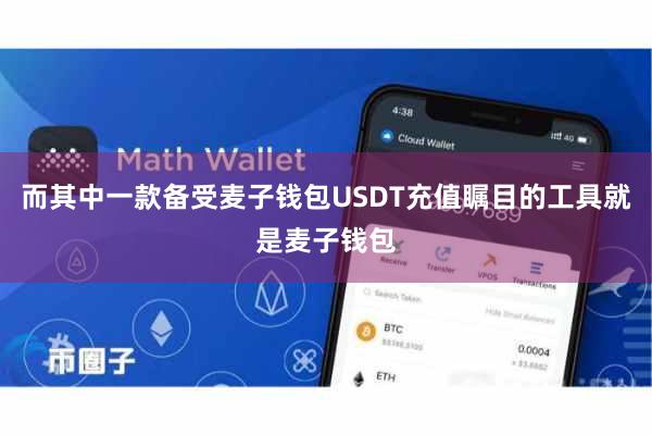 而其中一款备受麦子钱包USDT充值瞩目的工具就是麦子钱包