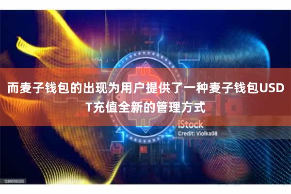 而麦子钱包的出现为用户提供了一种麦子钱包USDT充值全新的管理方式