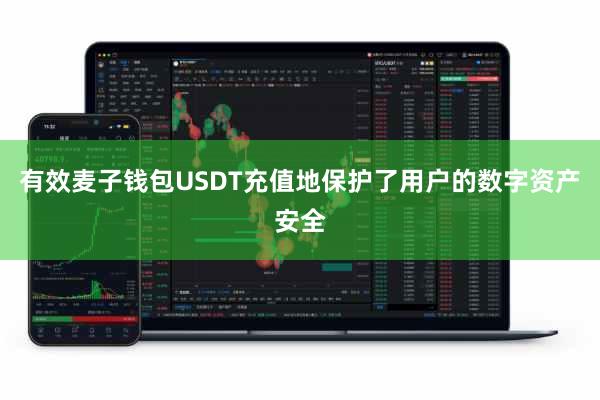 有效麦子钱包USDT充值地保护了用户的数字资产安全