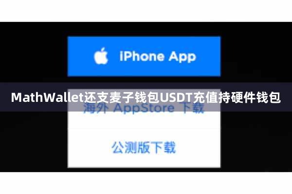 MathWallet还支麦子钱包USDT充值持硬件钱包
