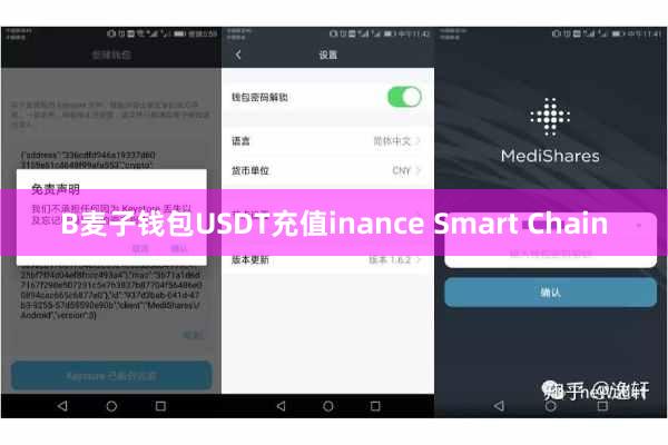 B麦子钱包USDT充值inance Smart Chain