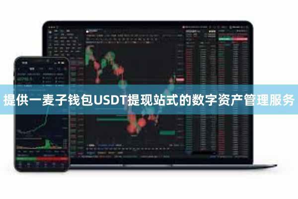 提供一麦子钱包USDT提现站式的数字资产管理服务