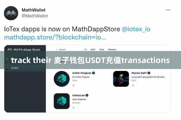 track their 麦子钱包USDT充值transactions