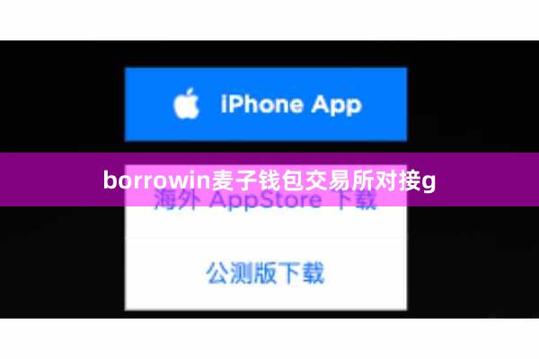 borrowin麦子钱包交易所对接g