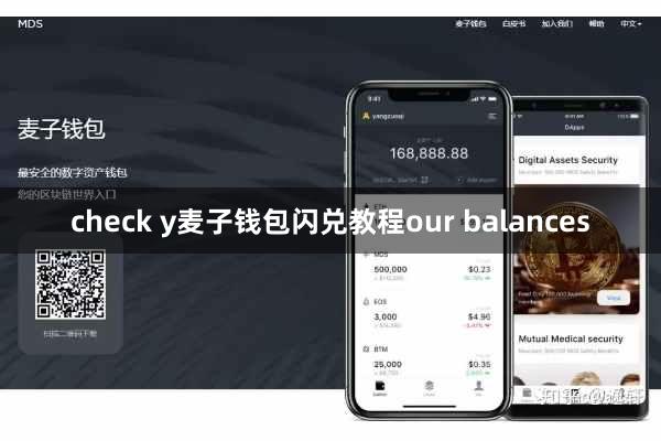 check y麦子钱包闪兑教程our balances