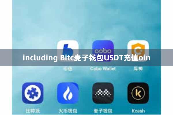 including Bitc麦子钱包USDT充值oin