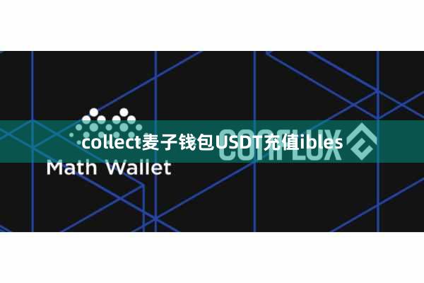 collect麦子钱包USDT充值ibles