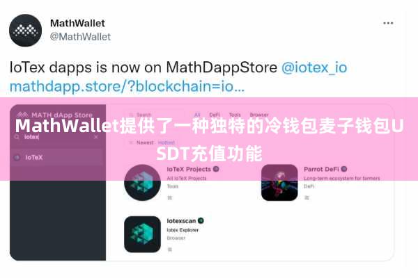 MathWallet提供了一种独特的冷钱包麦子钱包USDT充值功能