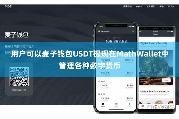 用户可以麦子钱包USDT提现在MathWallet中管理各种数字货币