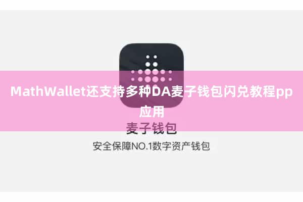 MathWallet还支持多种DA麦子钱包闪兑教程pp应用