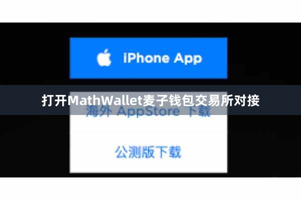 打开MathWallet麦子钱包交易所对接