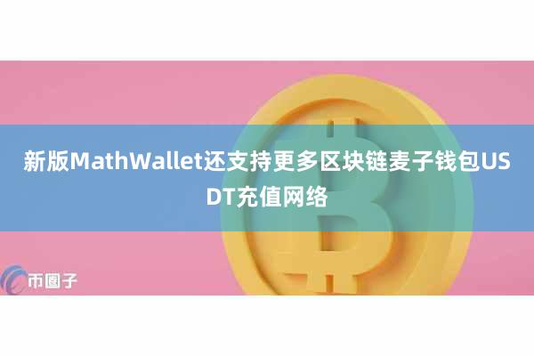 新版MathWallet还支持更多区块链麦子钱包USDT充值网络