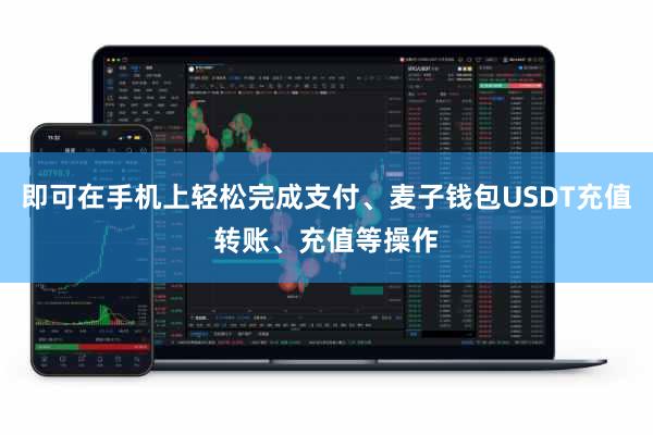 即可在手机上轻松完成支付、麦子钱包USDT充值转账、充值等操作
