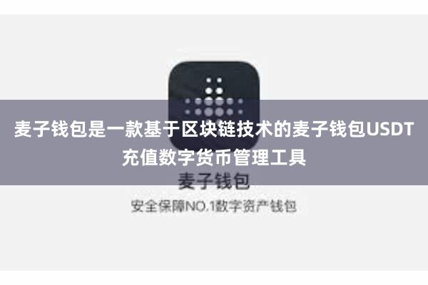麦子钱包是一款基于区块链技术的麦子钱包USDT充值数字货币管理工具