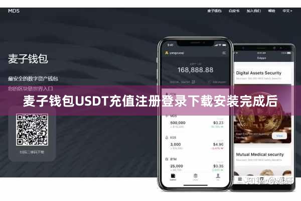 麦子钱包USDT充值注册登录下载安装完成后