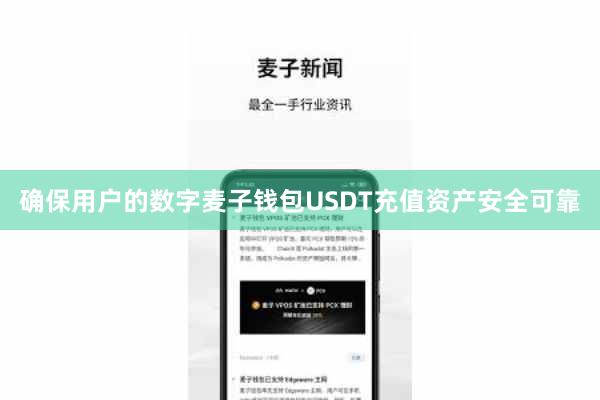 确保用户的数字麦子钱包USDT充值资产安全可靠