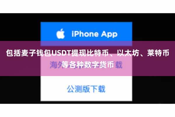 包括麦子钱包USDT提现比特币、以太坊、莱特币等各种数字货币