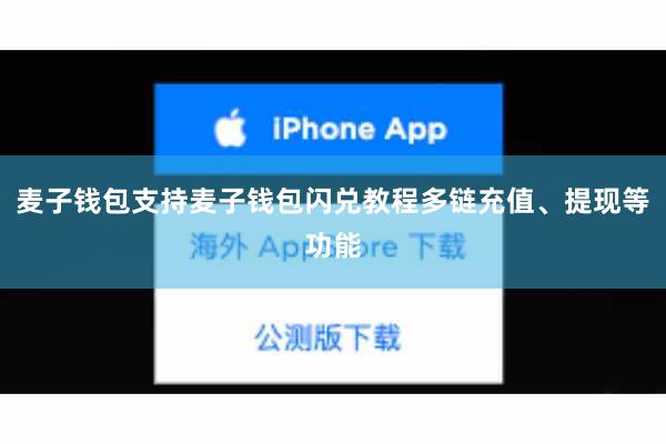 麦子钱包支持麦子钱包闪兑教程多链充值、提现等功能