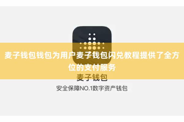 麦子钱包钱包为用户麦子钱包闪兑教程提供了全方位的支付服务