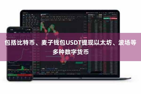 包括比特币、麦子钱包USDT提现以太坊、波场等多种数字货币