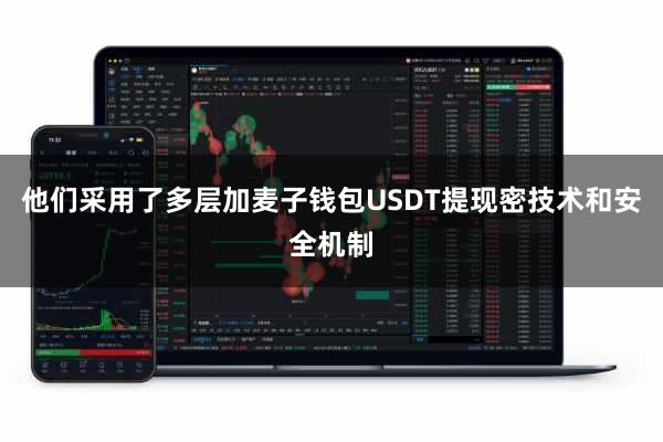 他们采用了多层加麦子钱包USDT提现密技术和安全机制